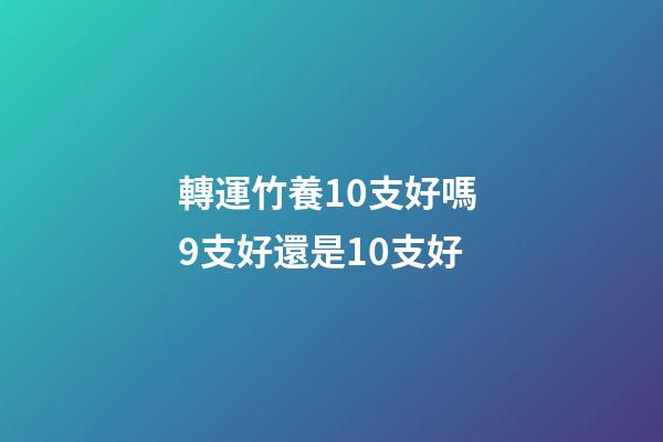 轉運竹養10支好嗎 9支好還是10支好